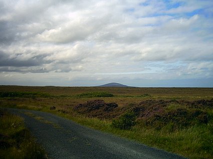 another view from the gate