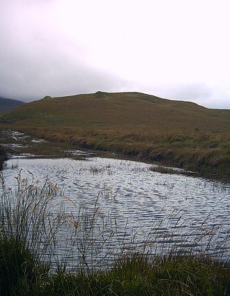 a view from the gate