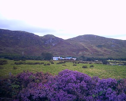 cottage and outbuildings from across the field