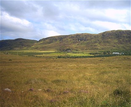 view of cottage from the road