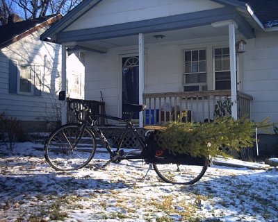 Christmas Tree on the Bicycle