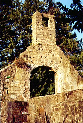 Palmerstown ruined church