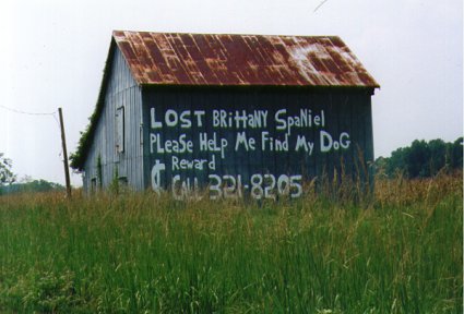 North Carolina: Lost Spaniel Notice on Barn