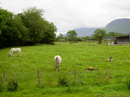 View From Grange, Sligo