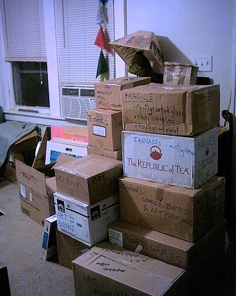 boxes in the living room