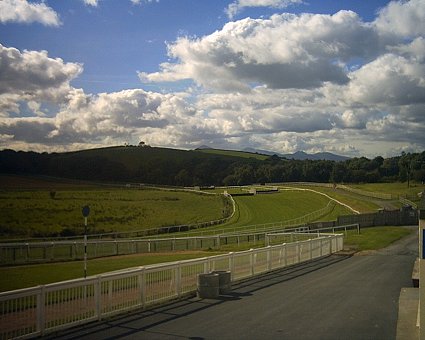 Downpatrick Racecourse