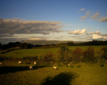 Binevenagh Mountain From Glack