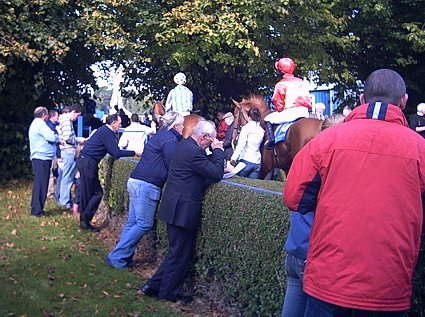 horses are leaving the parade ring