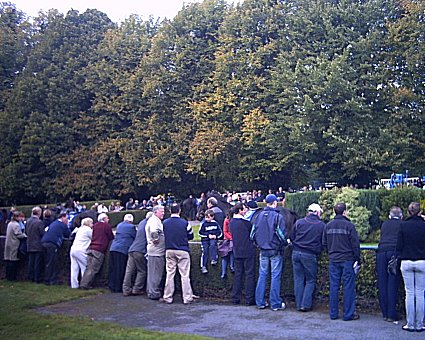 watching the parade ring